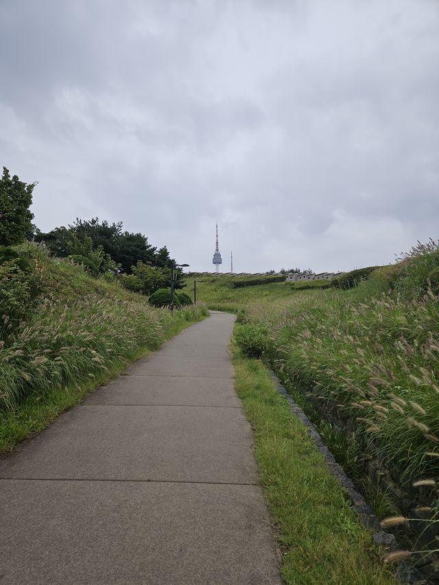 遠くに見えるソウルタワー