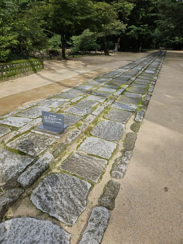 真ん中は神聖な道