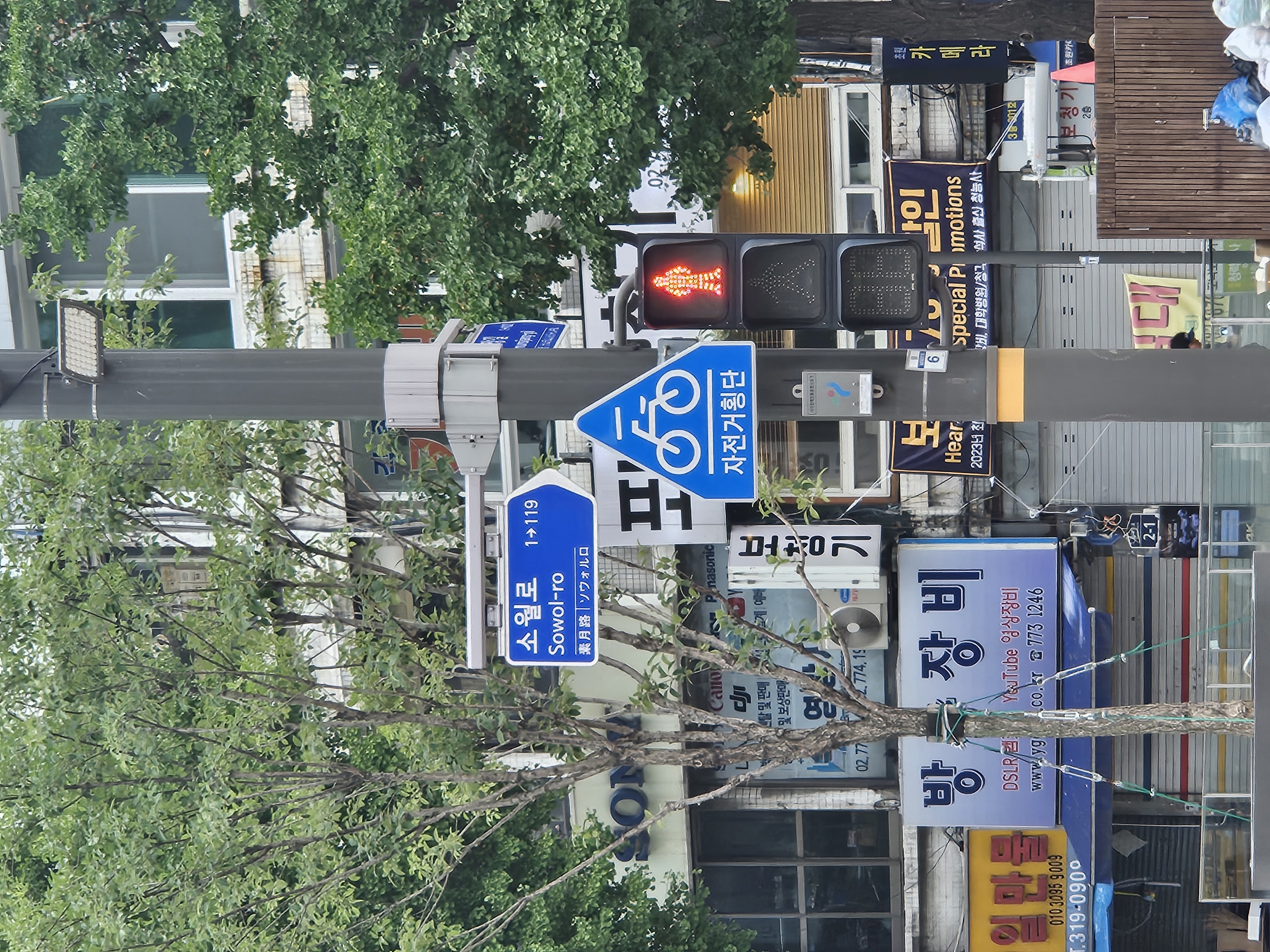 赤信号がかわいい