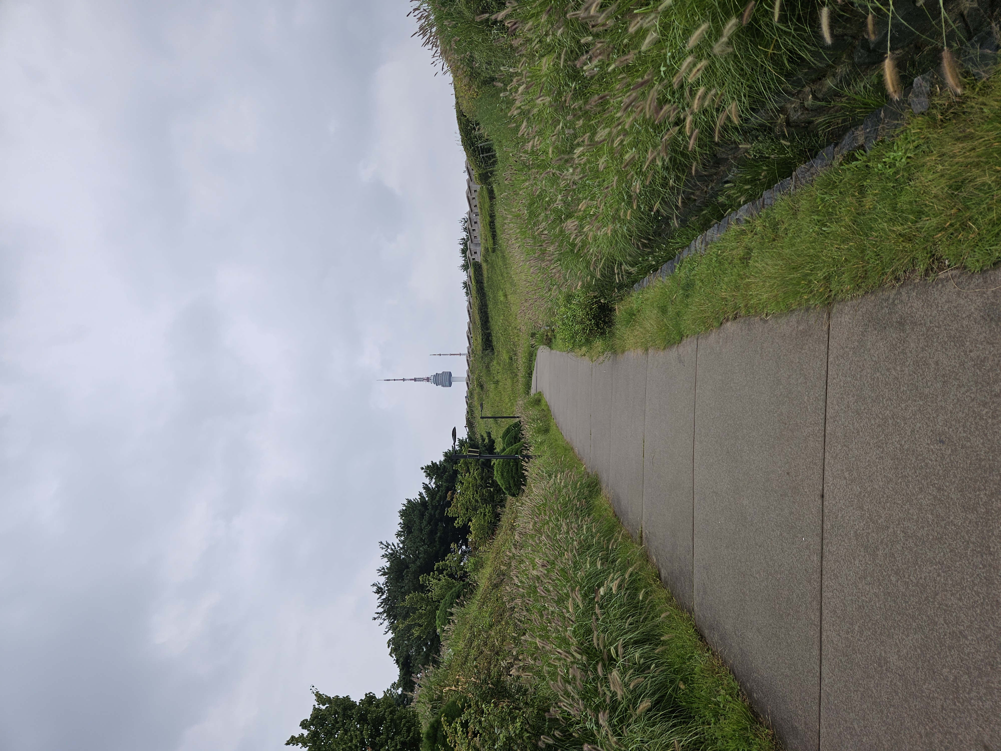 遠くに見えるソウルタワー