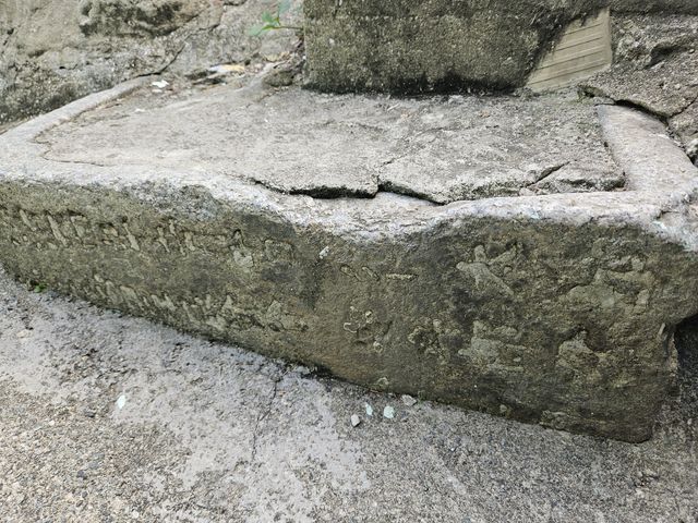 下を見ればすぐに見つかる