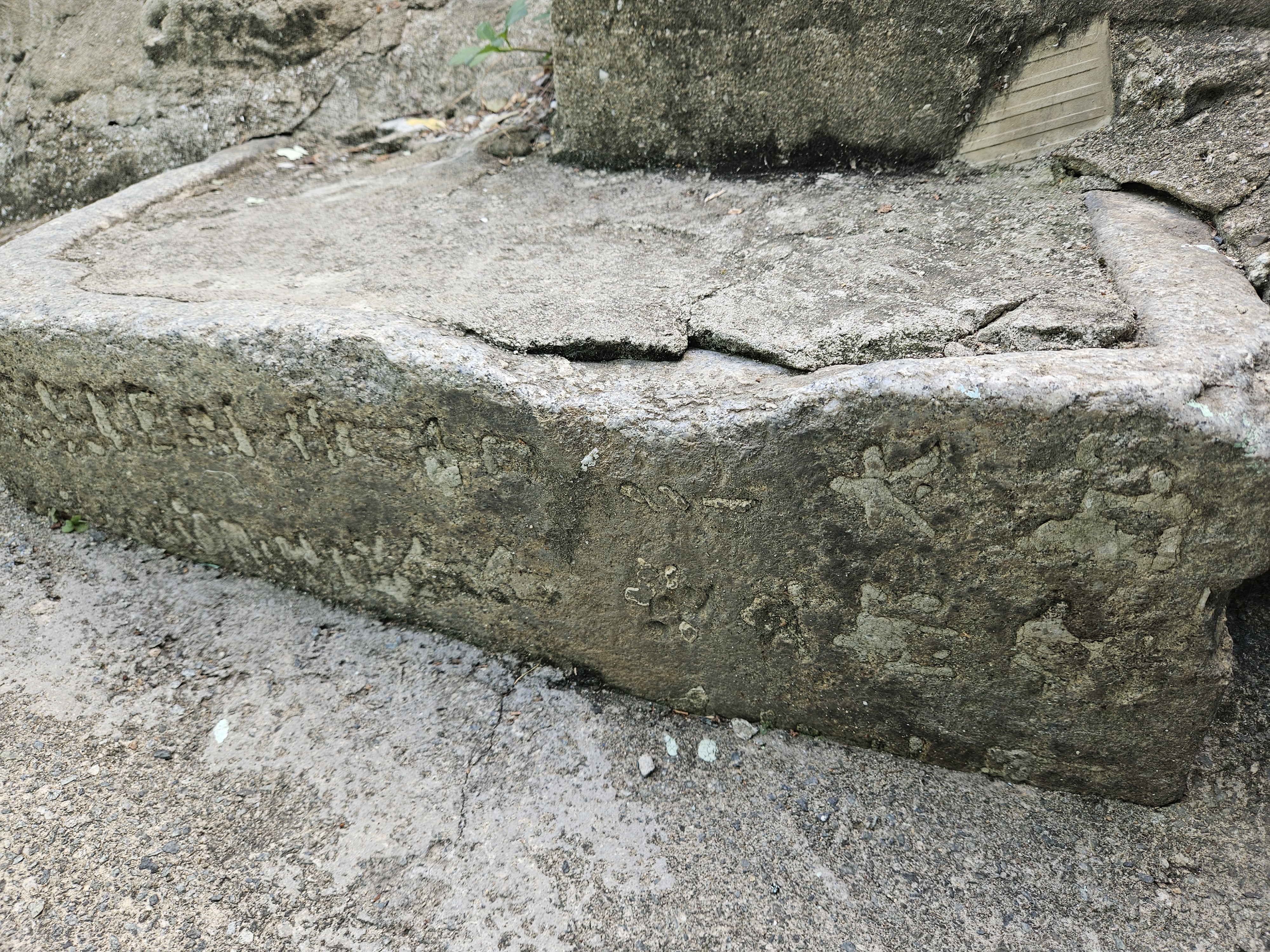 下を見ればすぐに見つかる