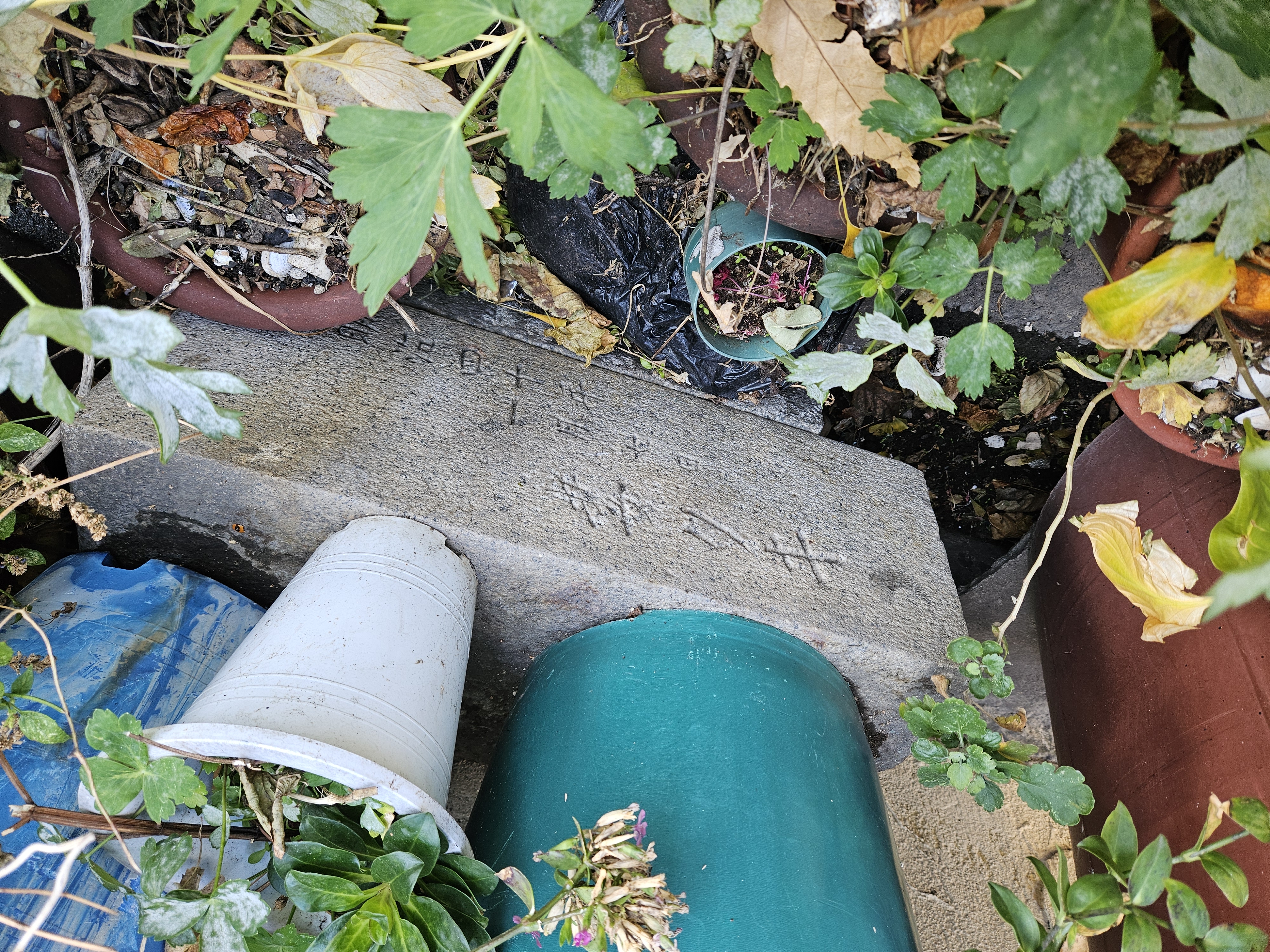 かき分けるとここにも