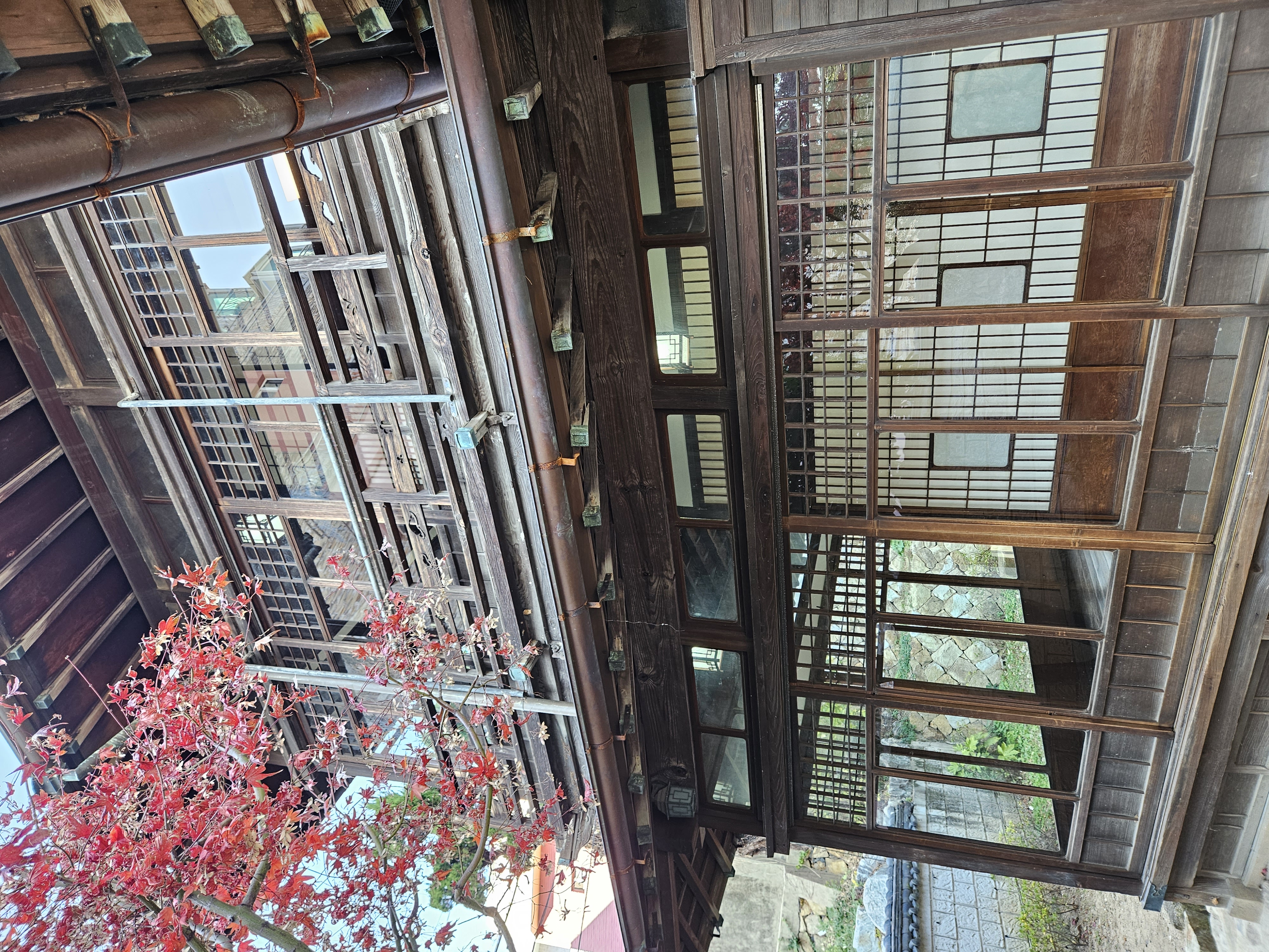 ここが見たかった