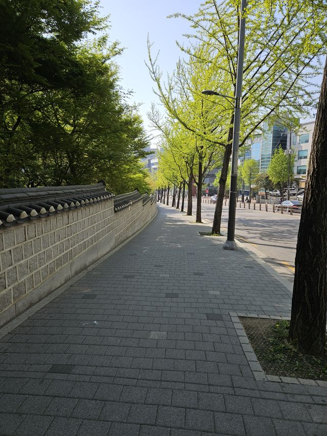 きれいに舗装された道