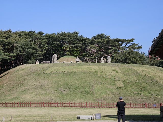 全体はこんな感じ