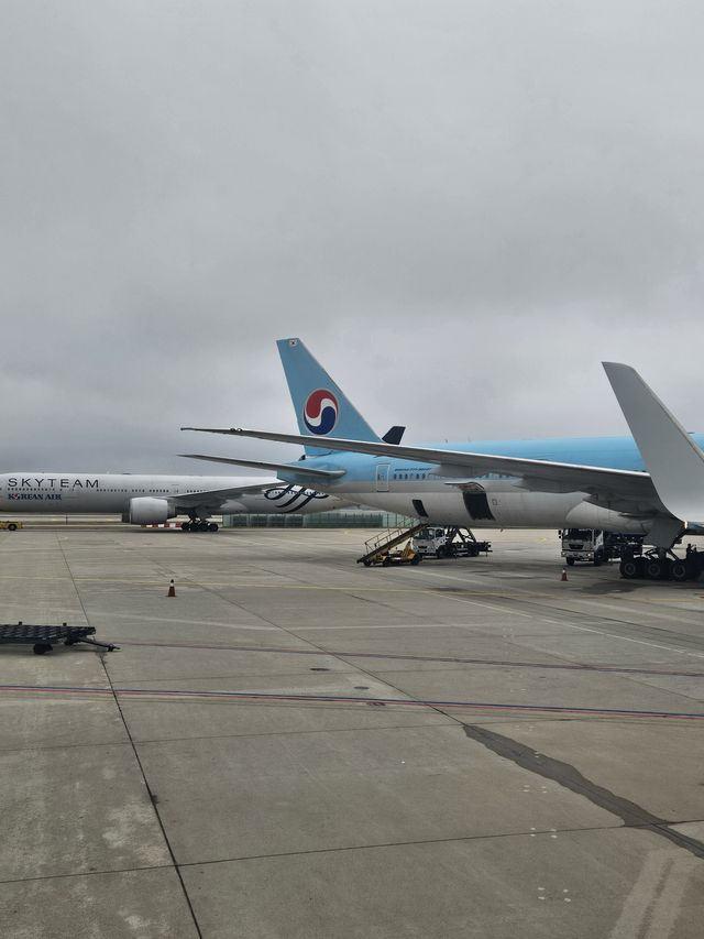 いつもの大韓航空