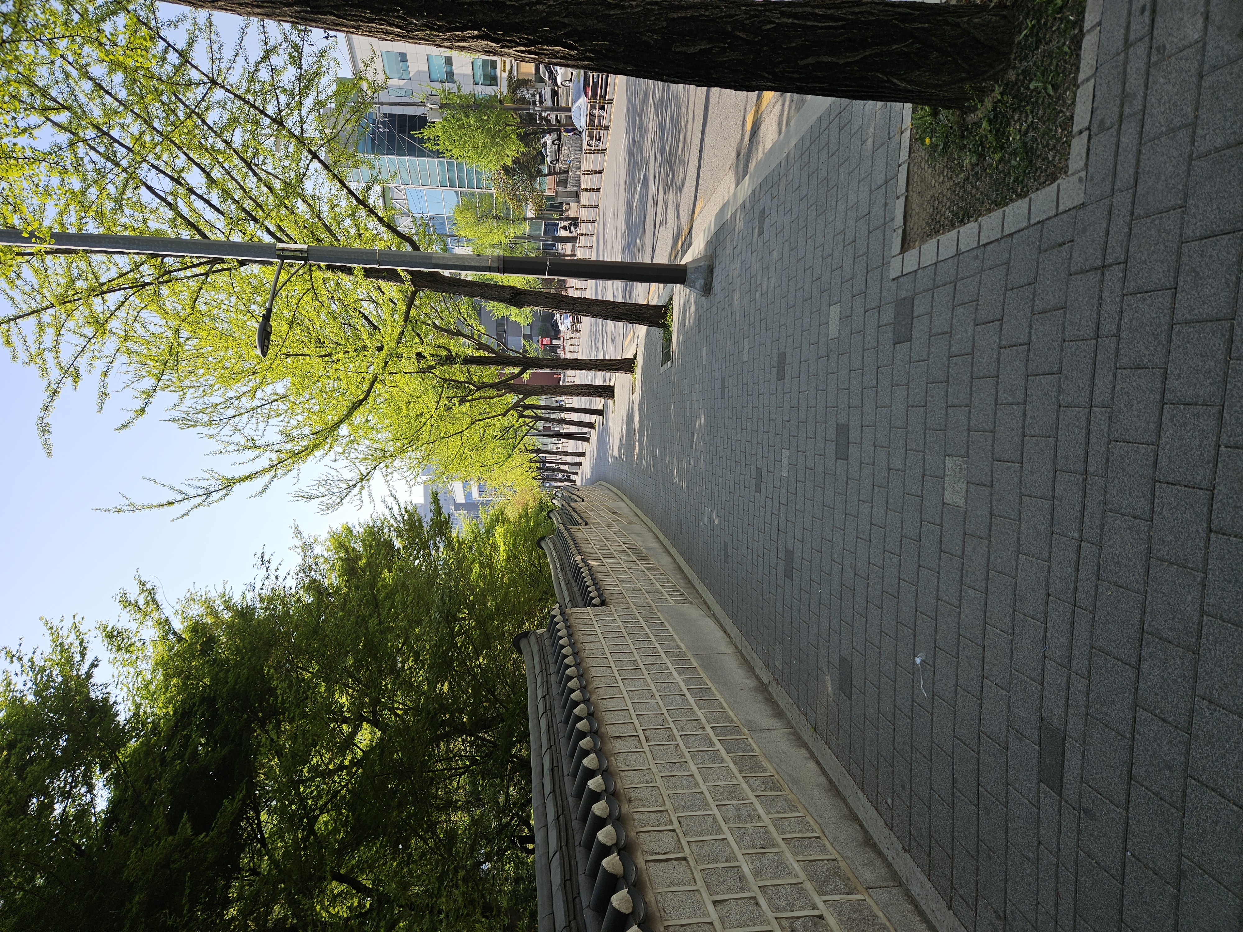 きれいに舗装された道