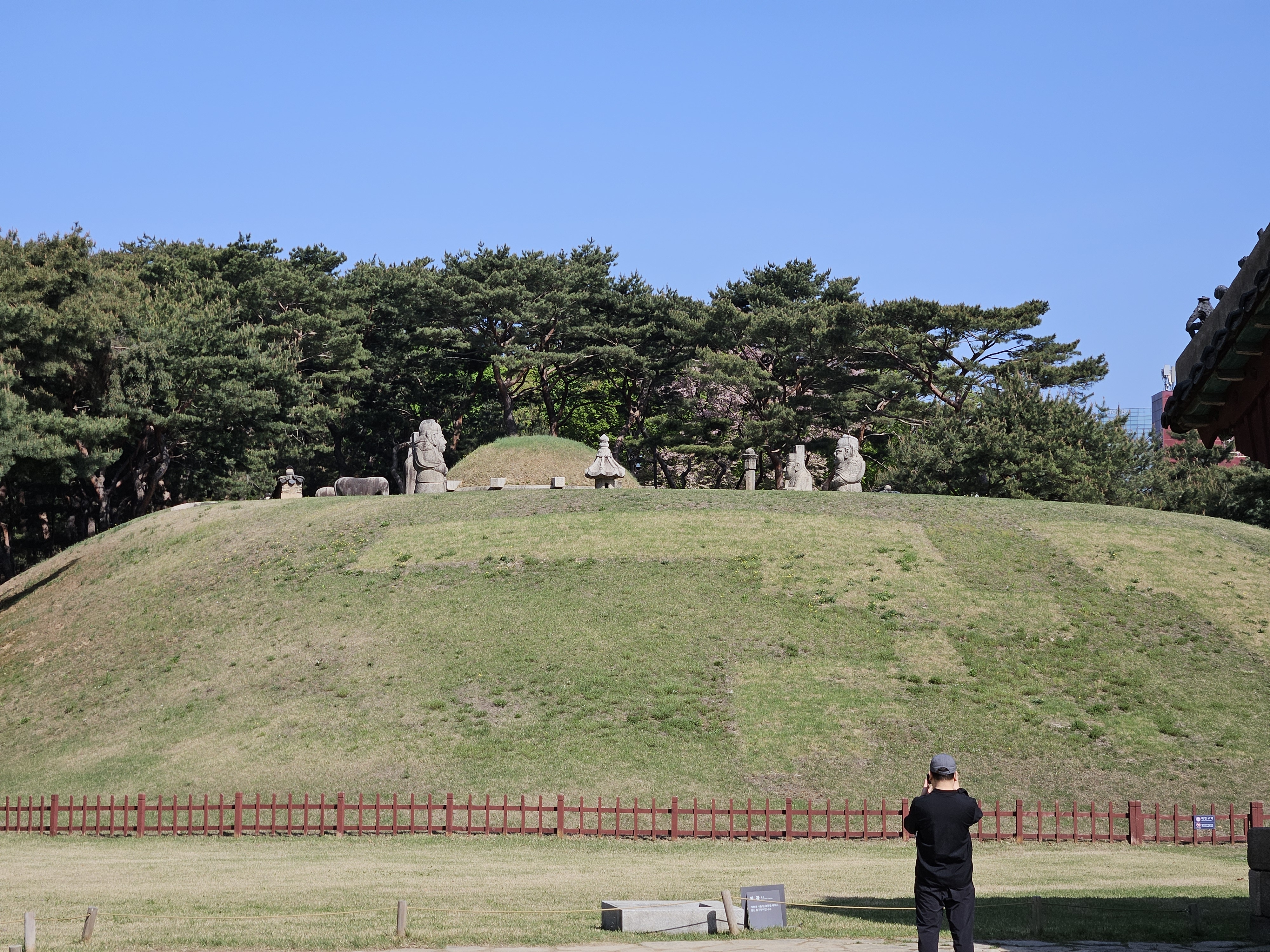 全体はこんな感じ
