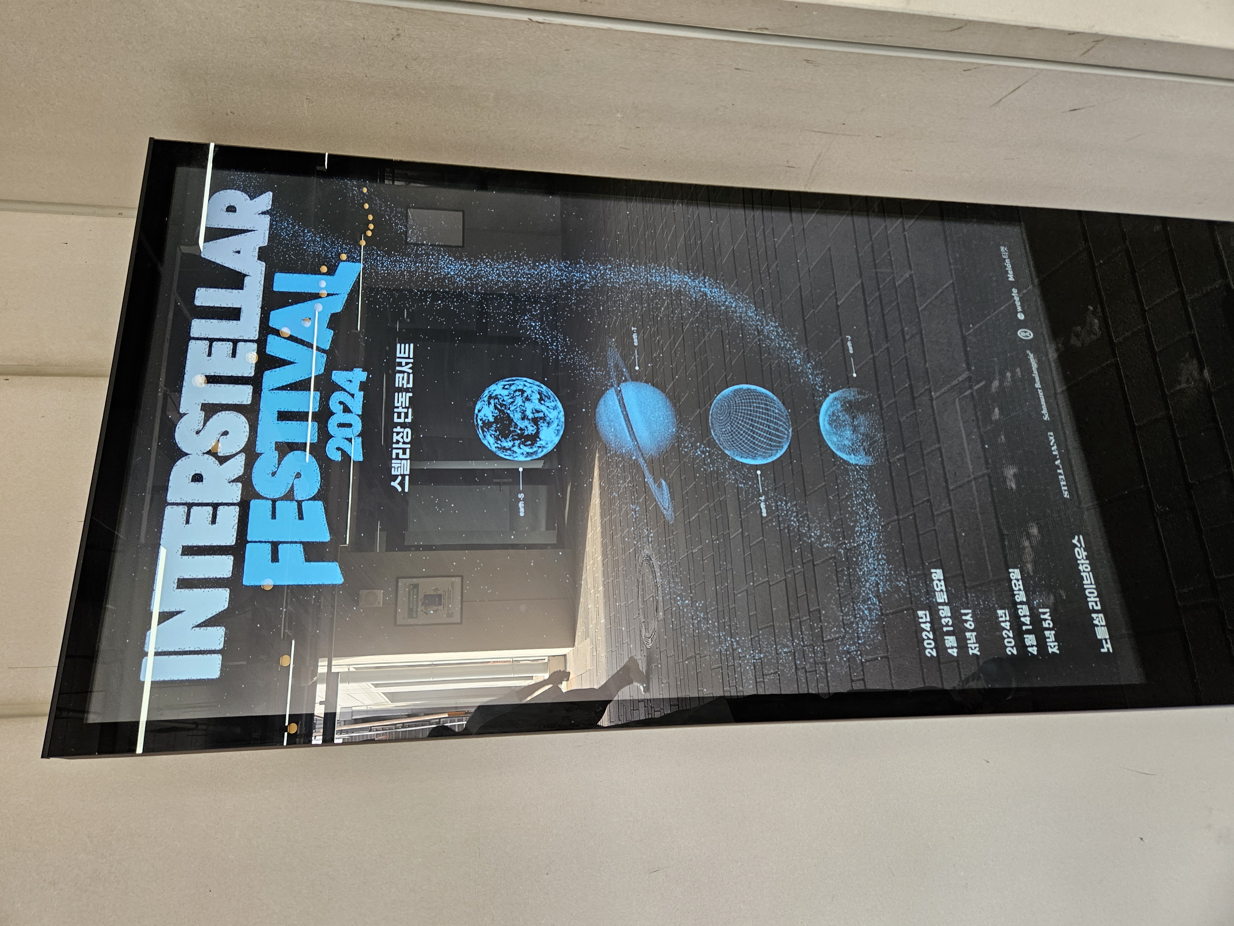 見に来たライブはこれ