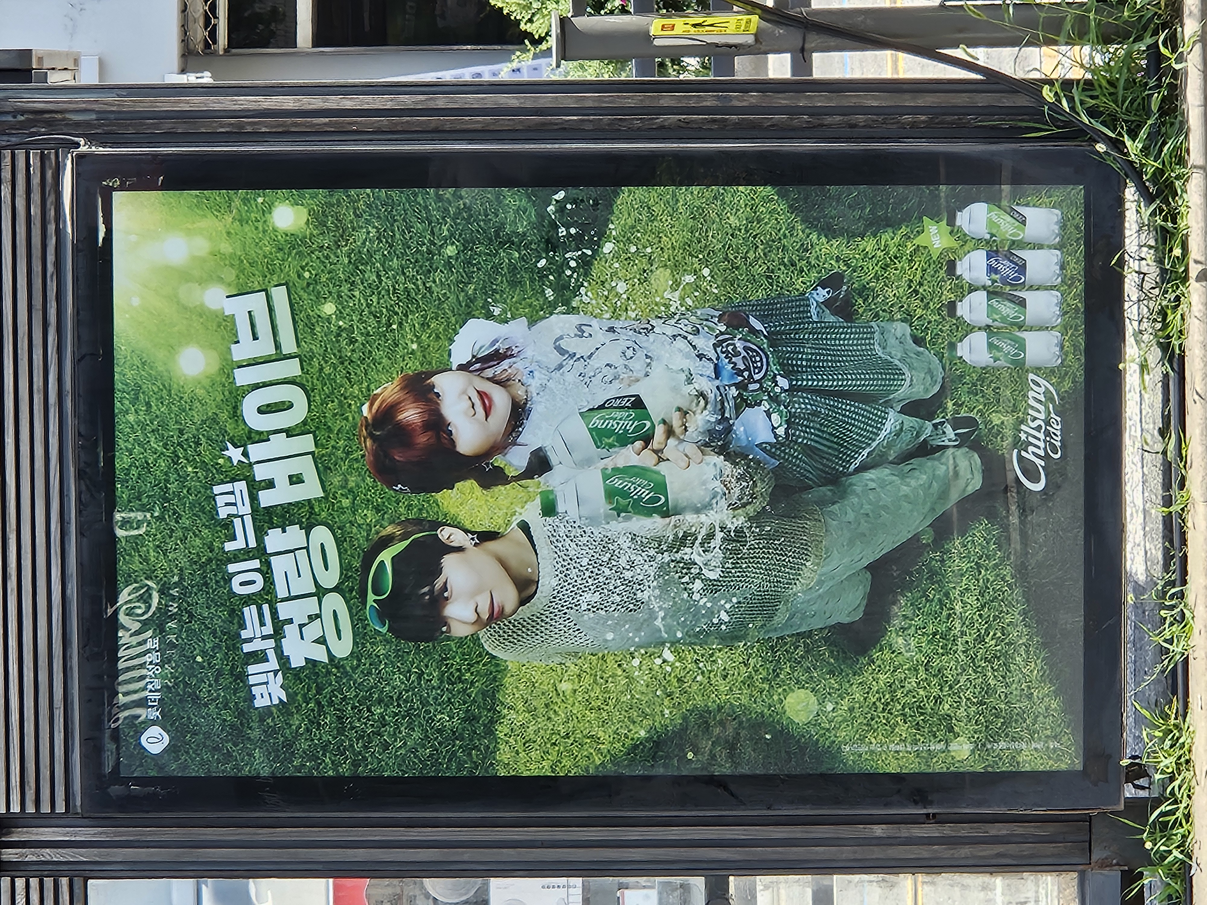 チルソンサイダー