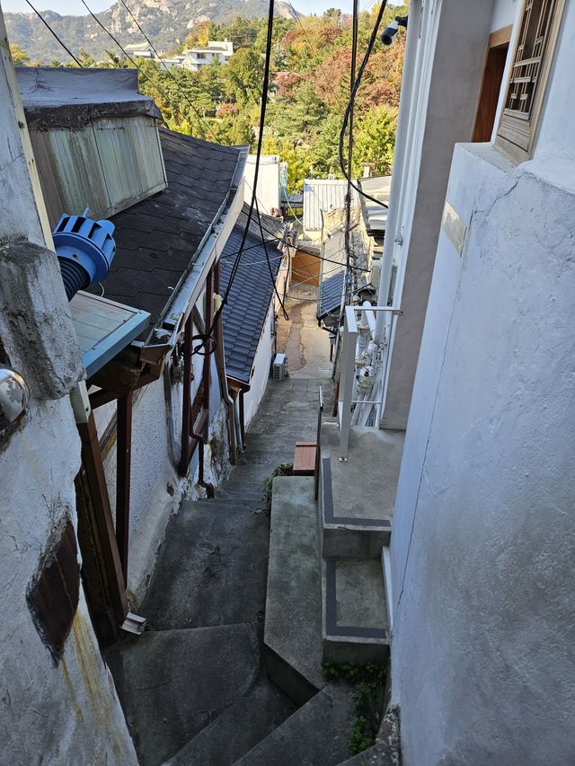 通っていいんだよね…？