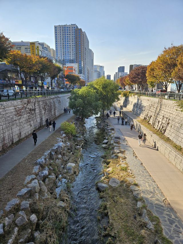 清渓川(청계천)