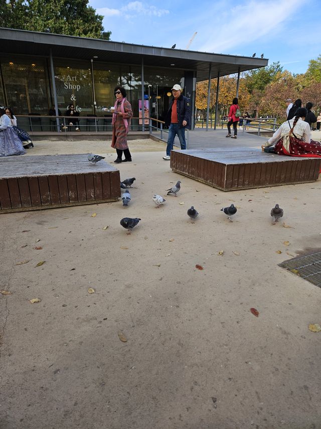 ハトたちも休憩