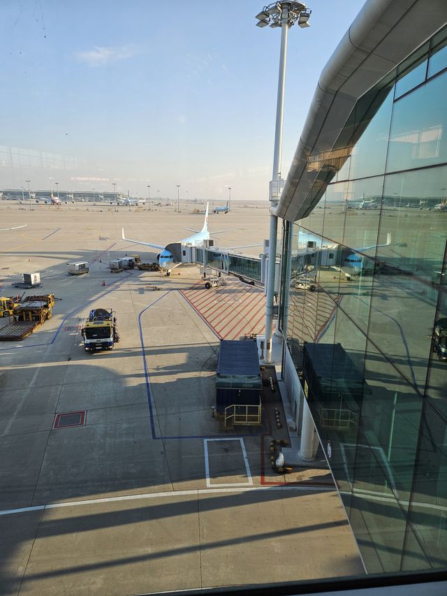 今回の飛行機は