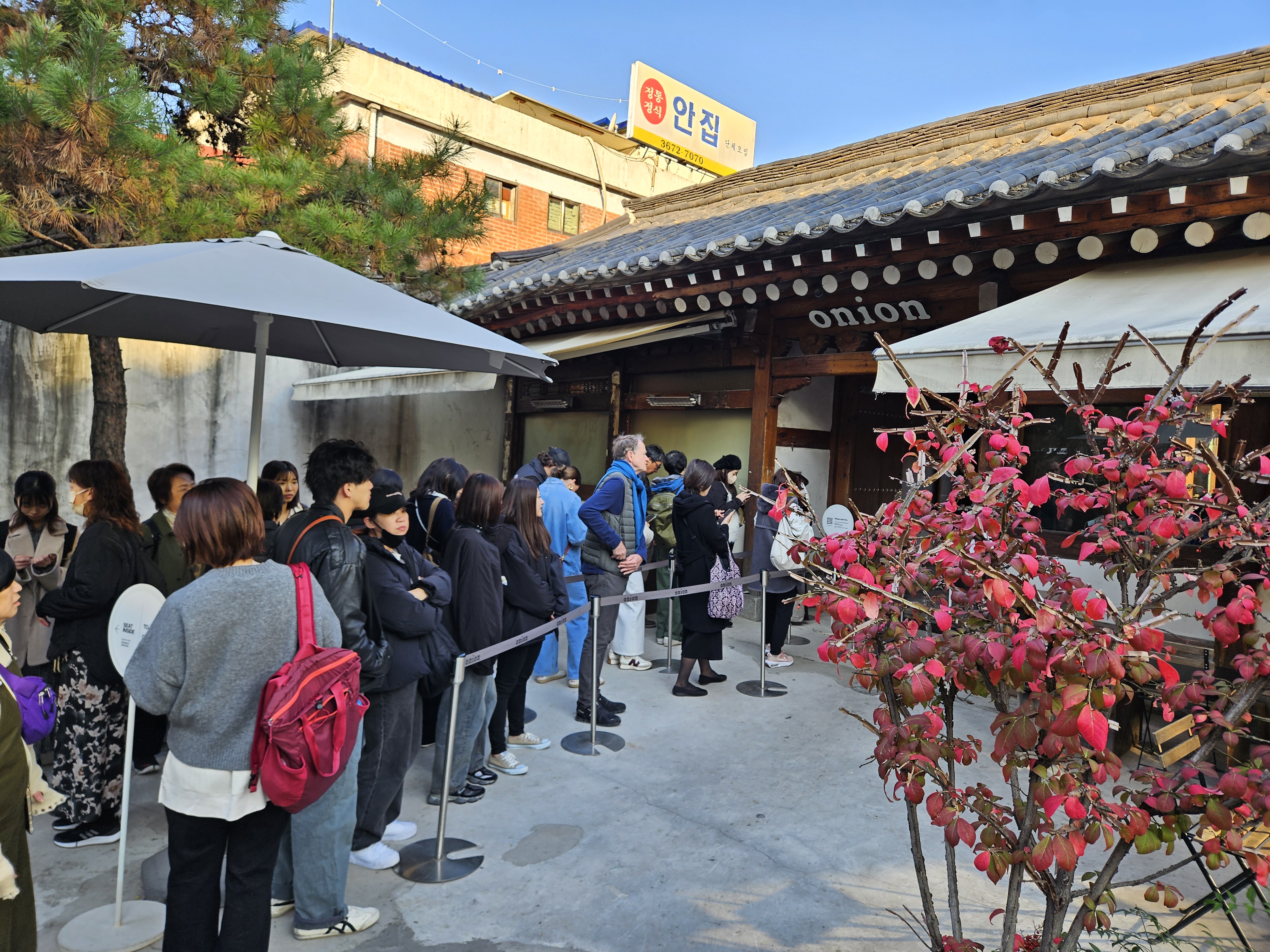ほとんど日本人