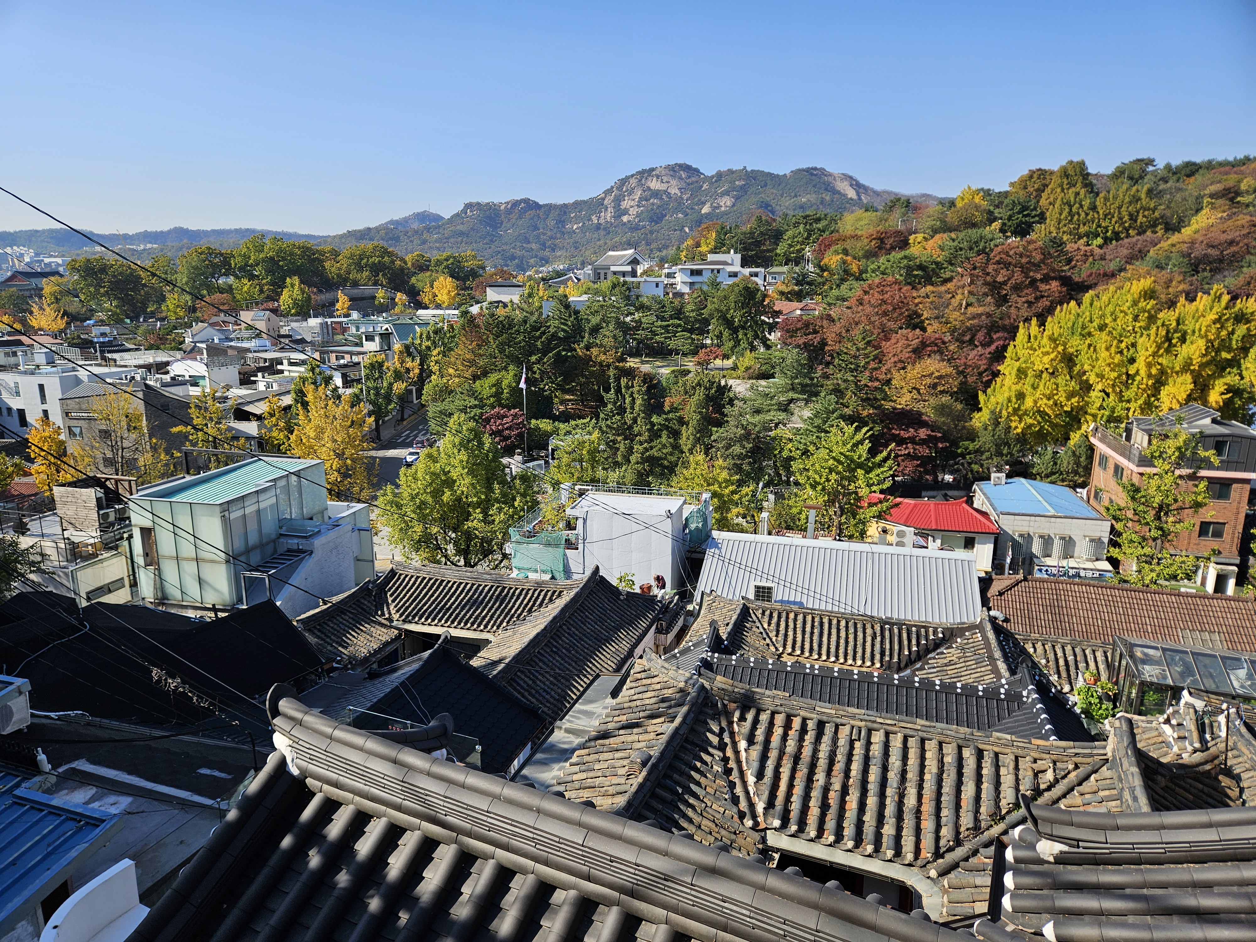 家がひしめき合う