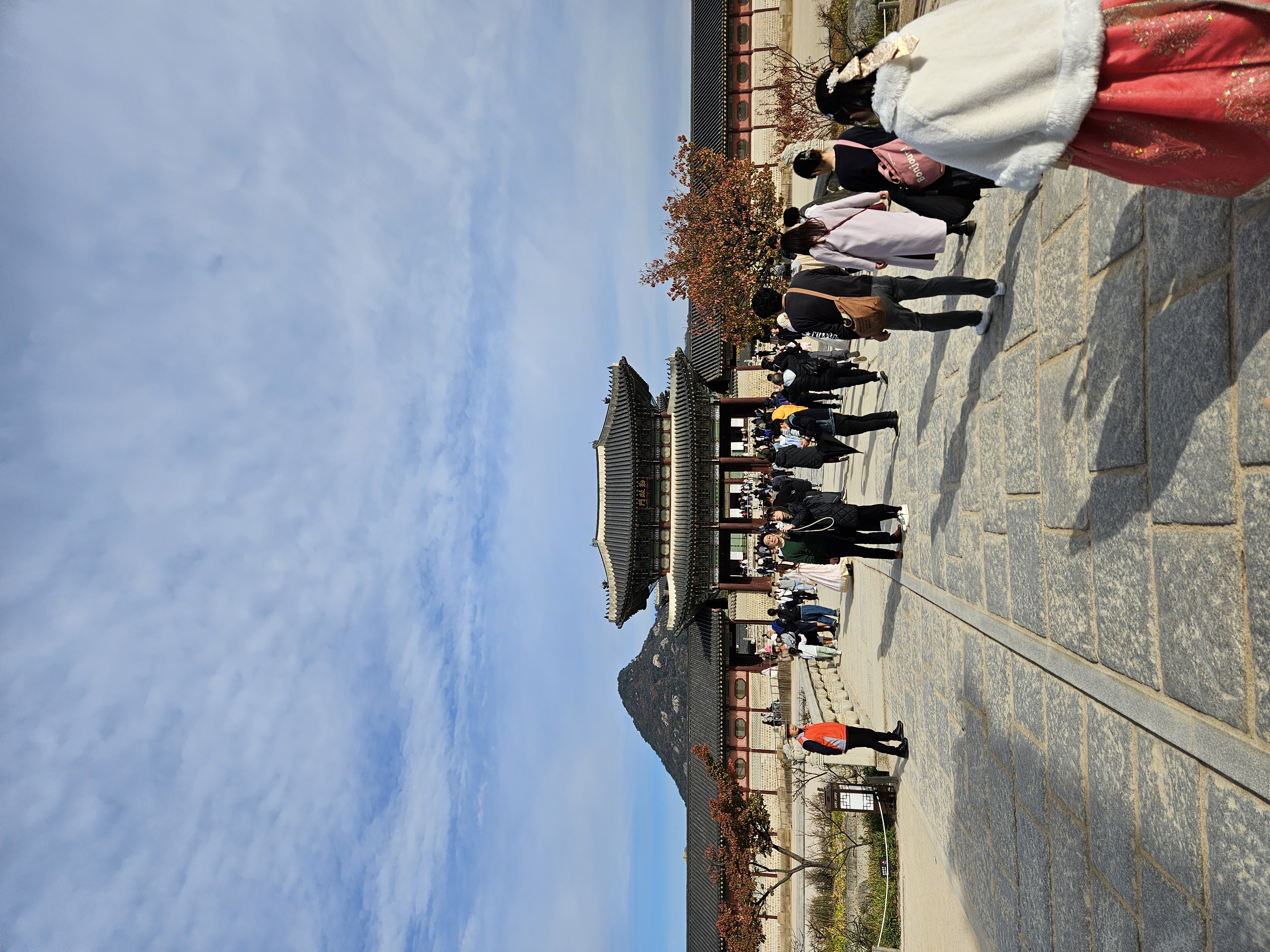 山がいい味だしてる