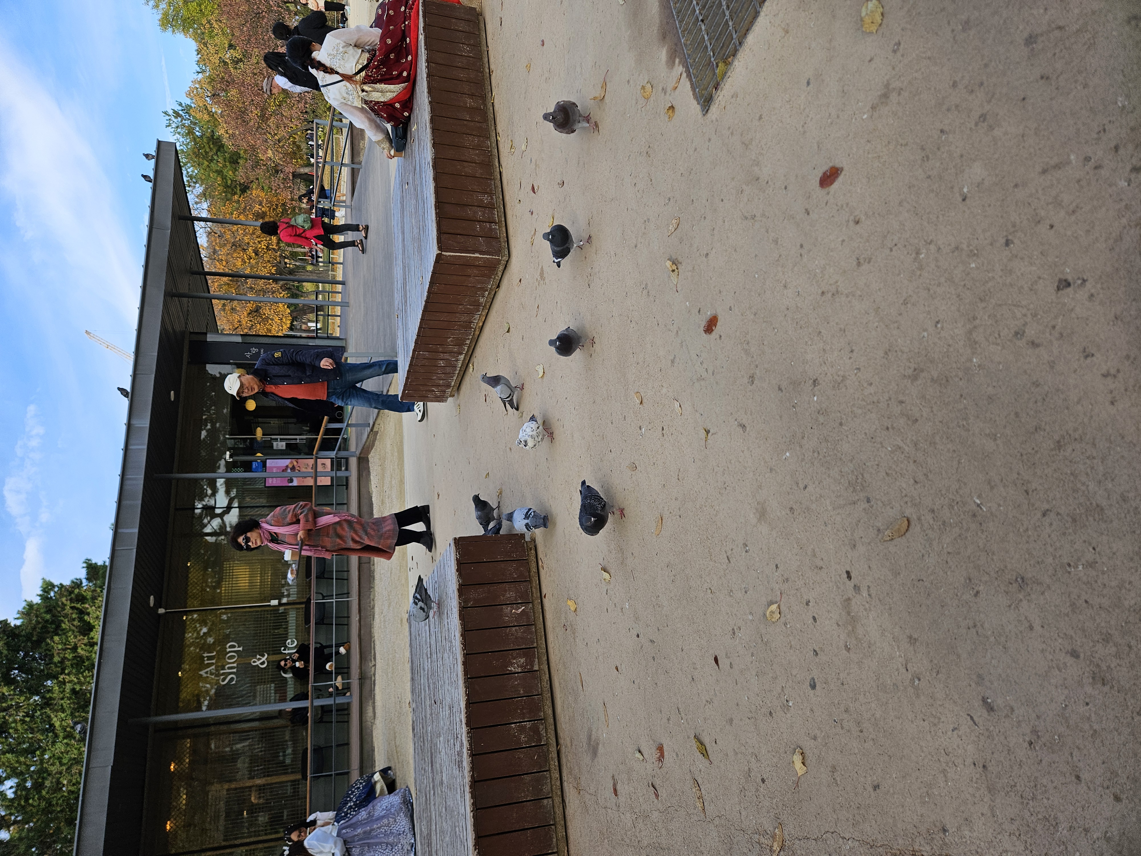 ハトたちも休憩