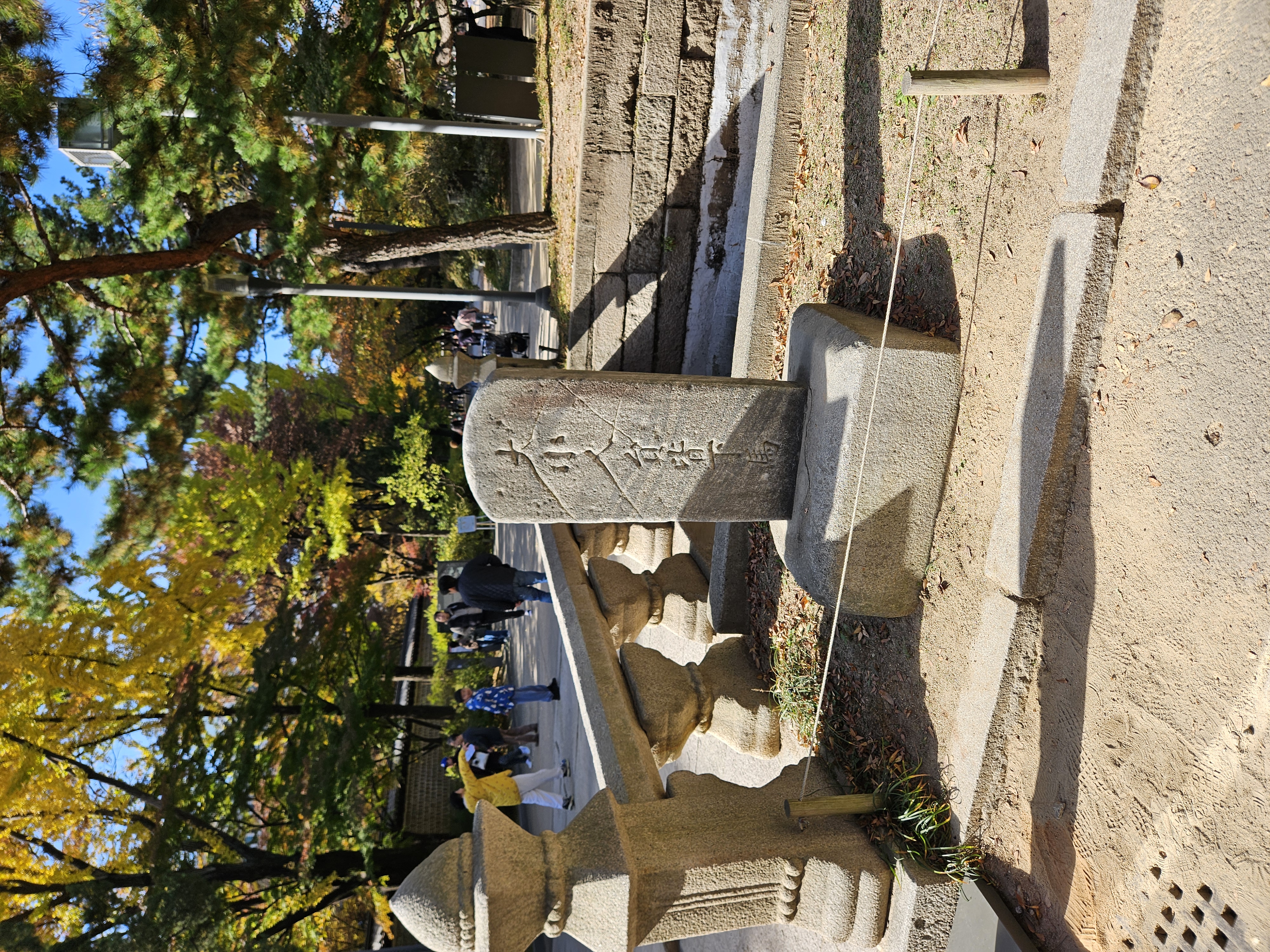 大小人員皆下馬