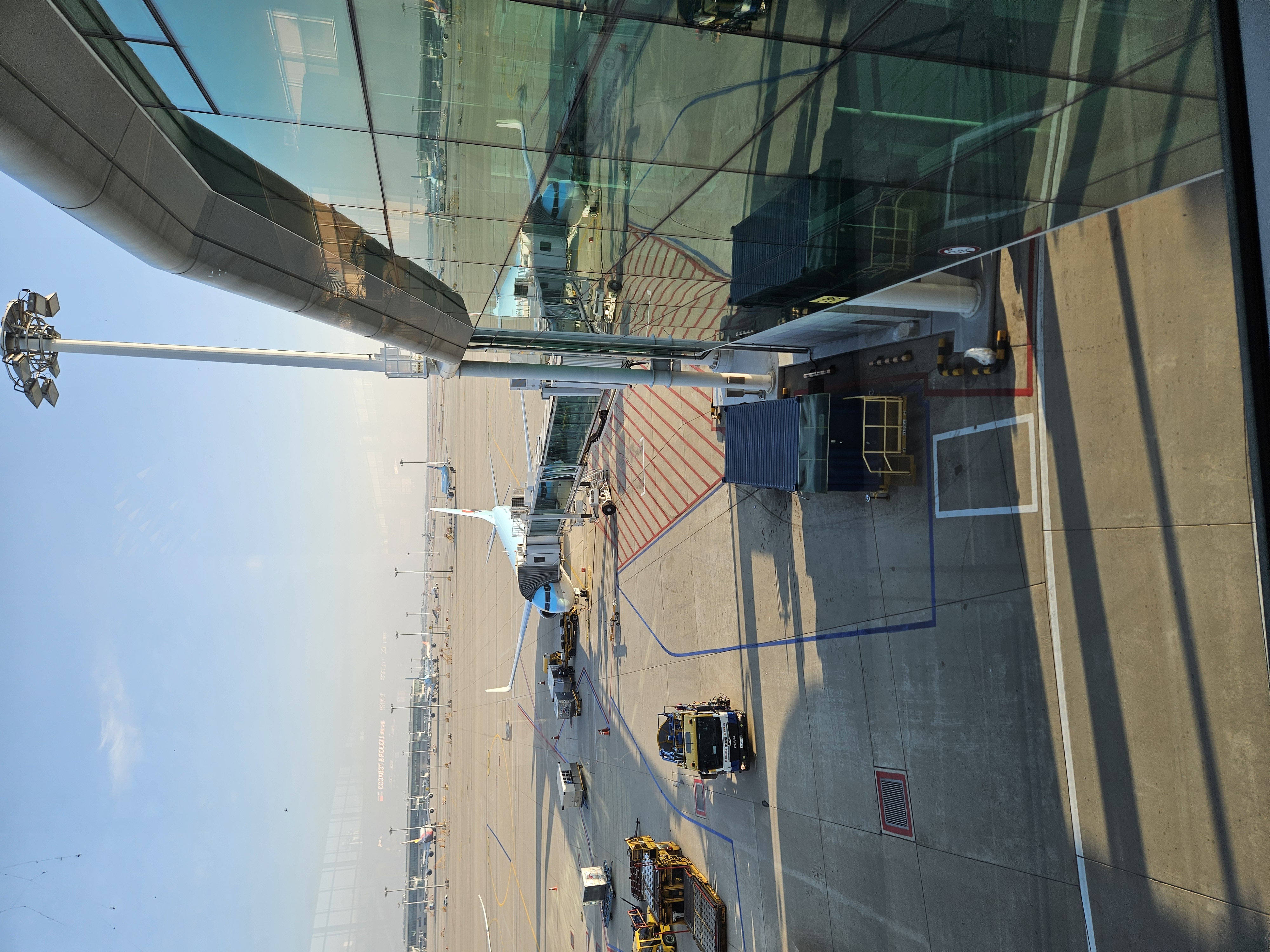 今回の飛行機は