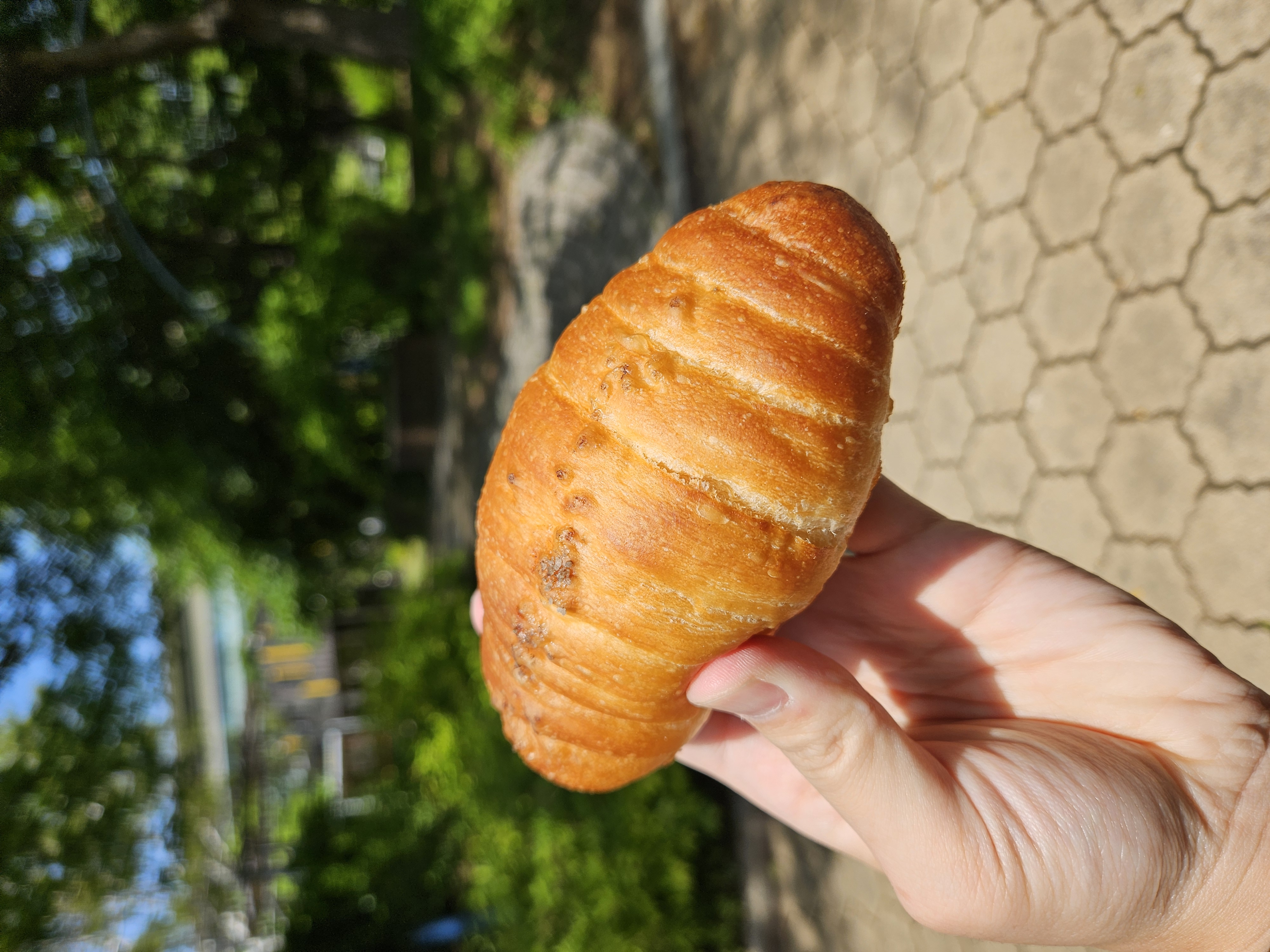 昨日のカフェで買ったパン