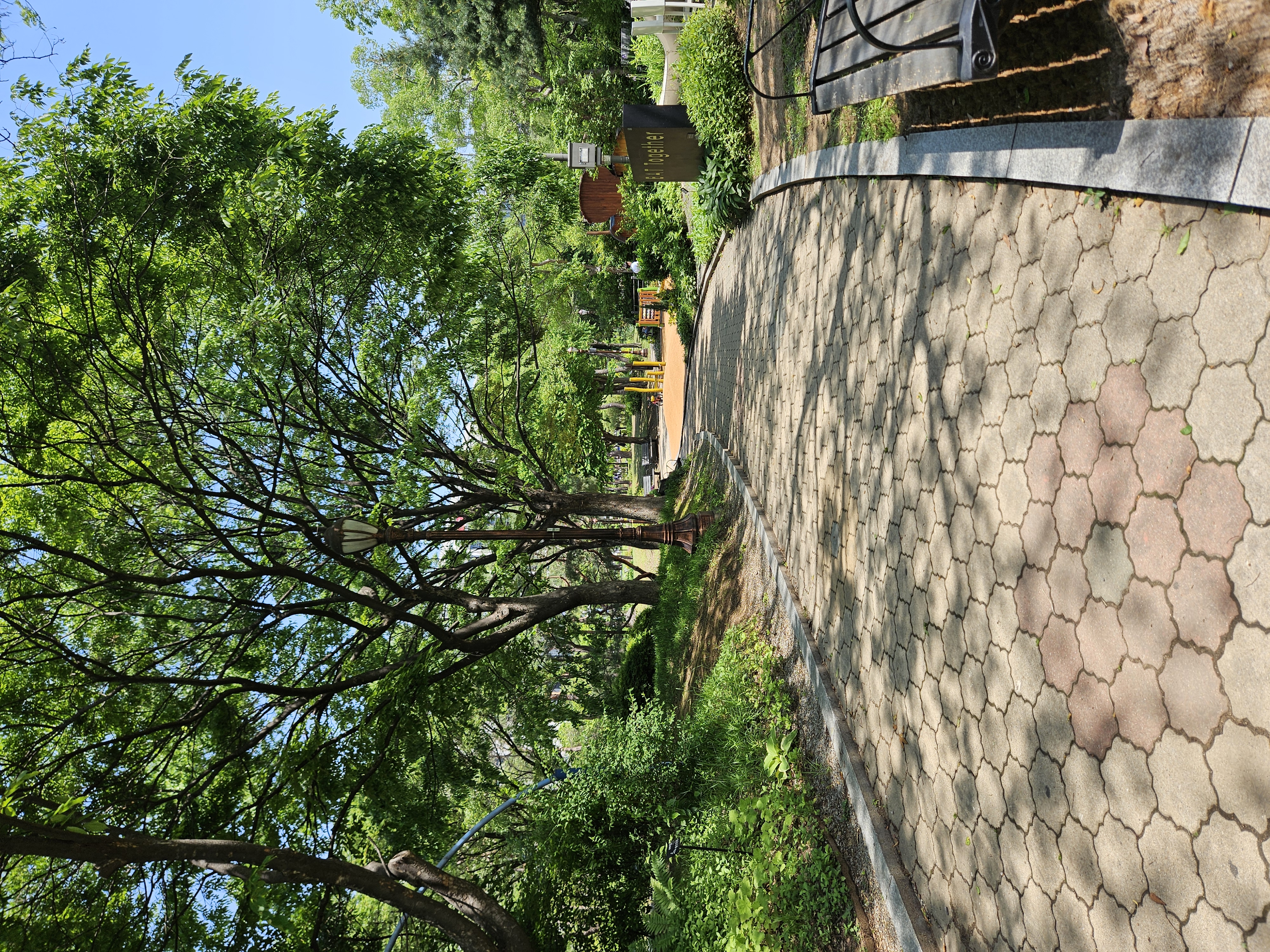 ここは汝矣島公園