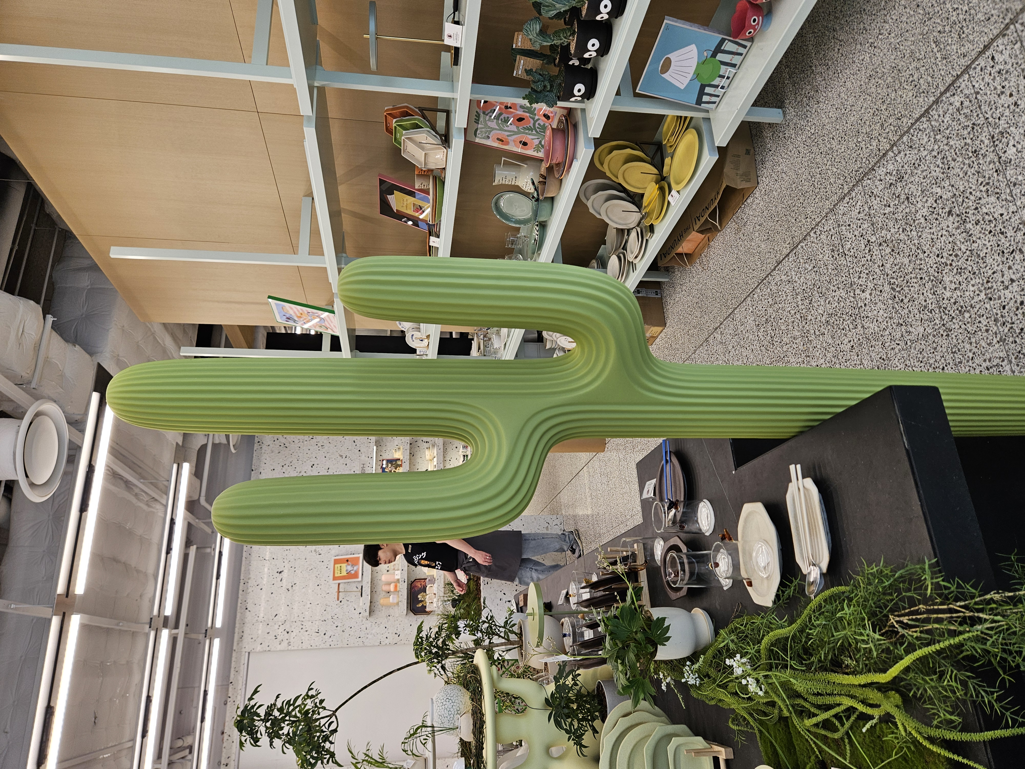 かわいいサボテン