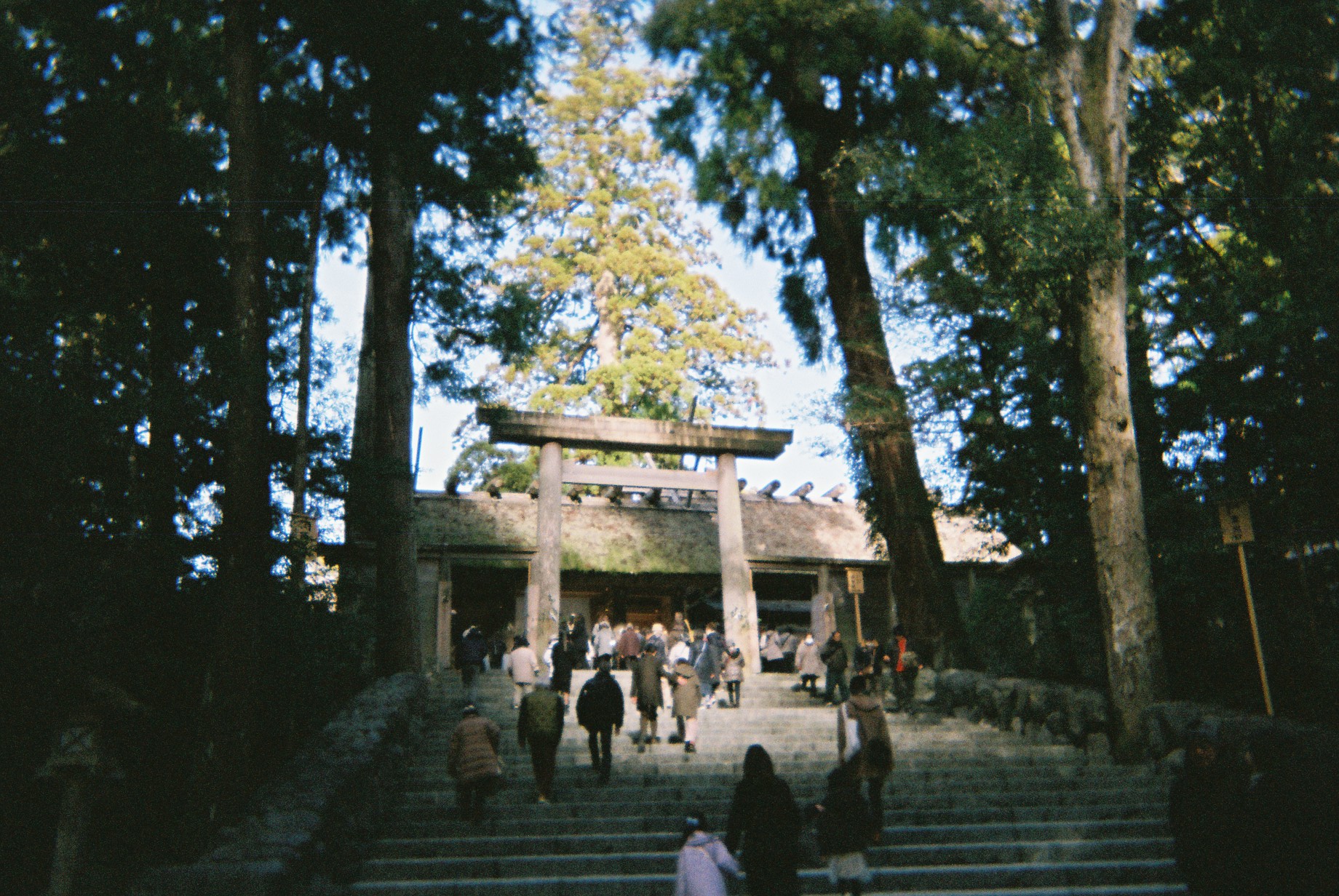 Ise Jingu